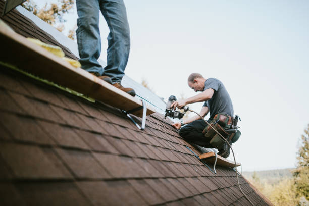 Best Metal Roofing Contractor  in Oakland, TN
